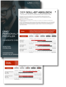 Persönlichkeitsanalyse Linc Personality Profiler