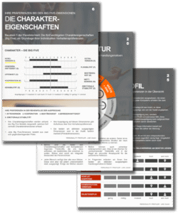 Persönlichkeitsanalyse Linc Personality Profiler